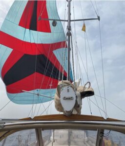 Flying the Spinnaker